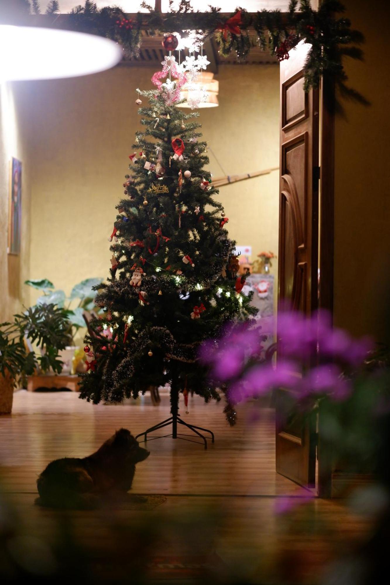 Maison De Hill Home Dong Van  Zewnętrze zdjęcie